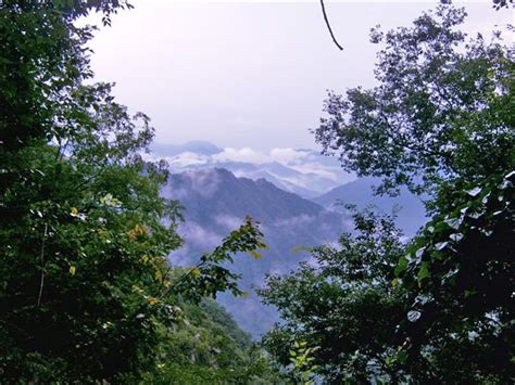 白雲山公園！擁抱雲海，感受自然之美！